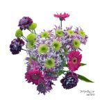 396807_10151007461339431_1045295817_n